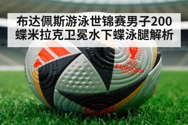 布达佩斯游泳世锦赛男子200蝶米拉克卫冕水下蝶泳腿解析